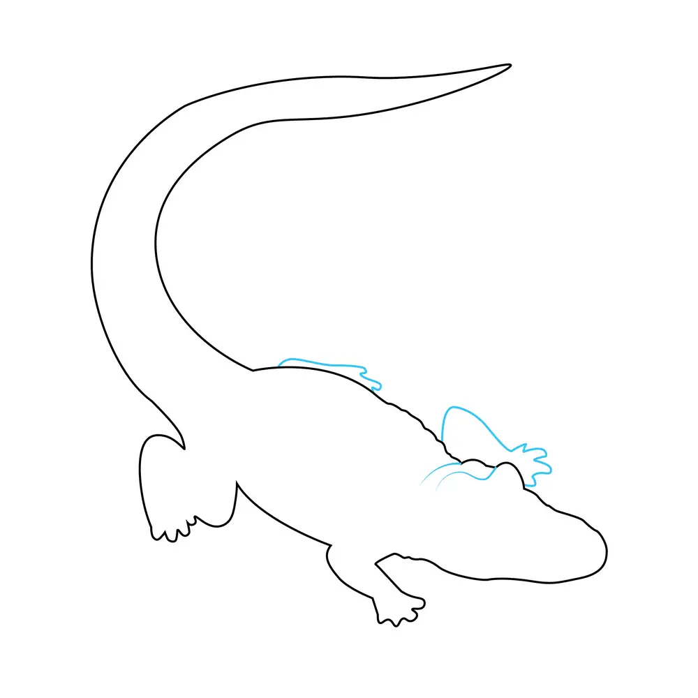 How to Draw An Alligator Step by Step Step  4