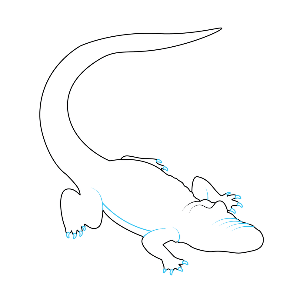 How to Draw An Alligator Step by Step Step  5
