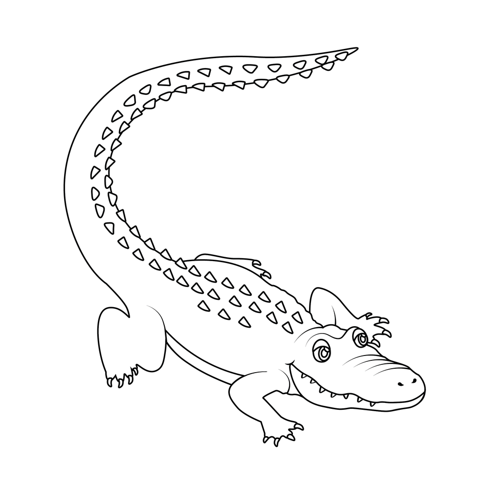 How to Draw An Alligator Step by Step Step  8