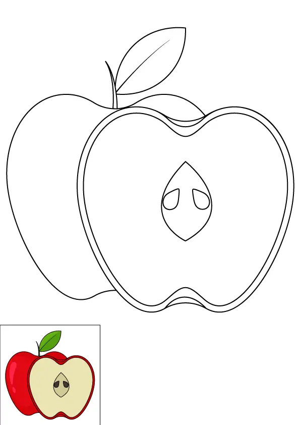 How to Draw An Apple Step by Step Printable Color