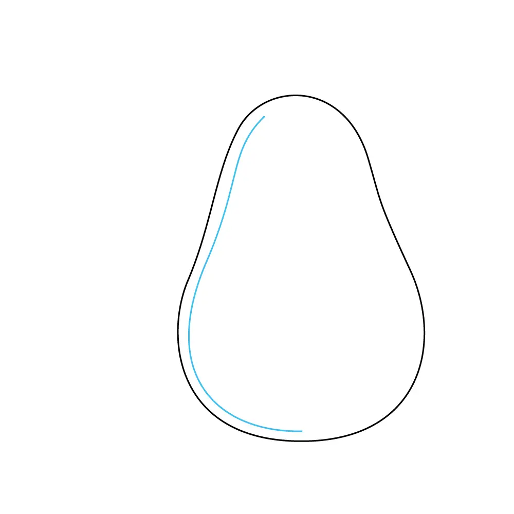 How to Draw An Avocado Step by Step Step  3