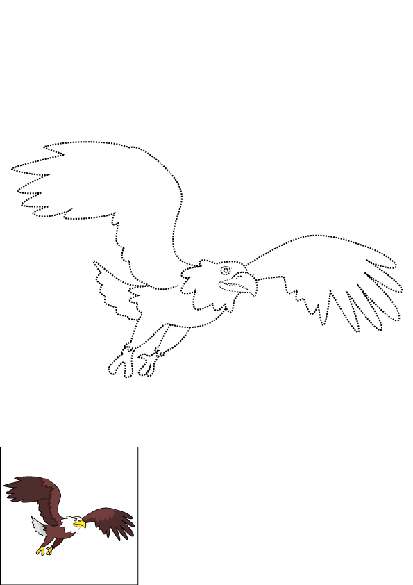 How to Draw An Eagle Flying Step by Step Printable Dotted
