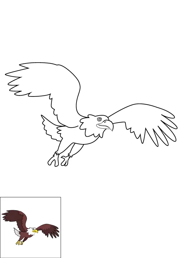 How to Draw An Eagle Flying Step by Step Printable Color