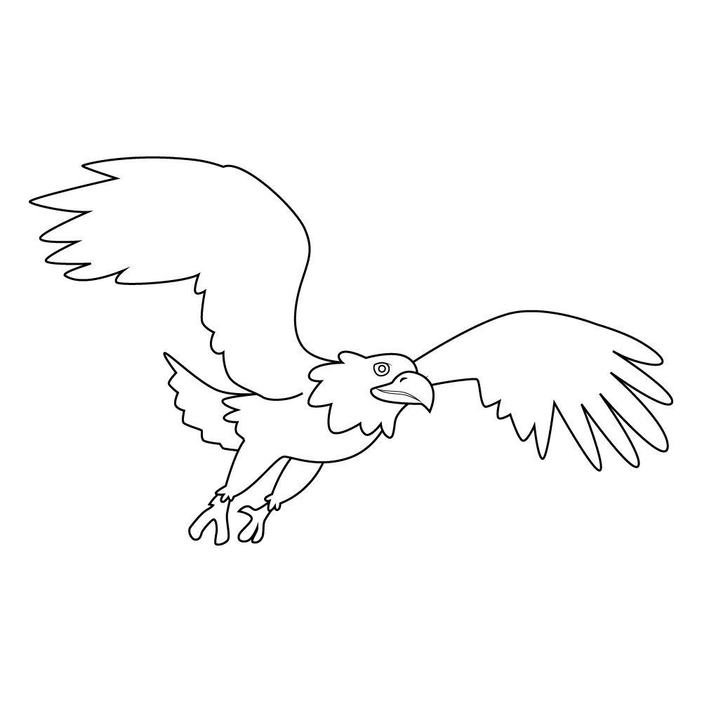 How to Draw An Eagle Flying Step by Step Step  11