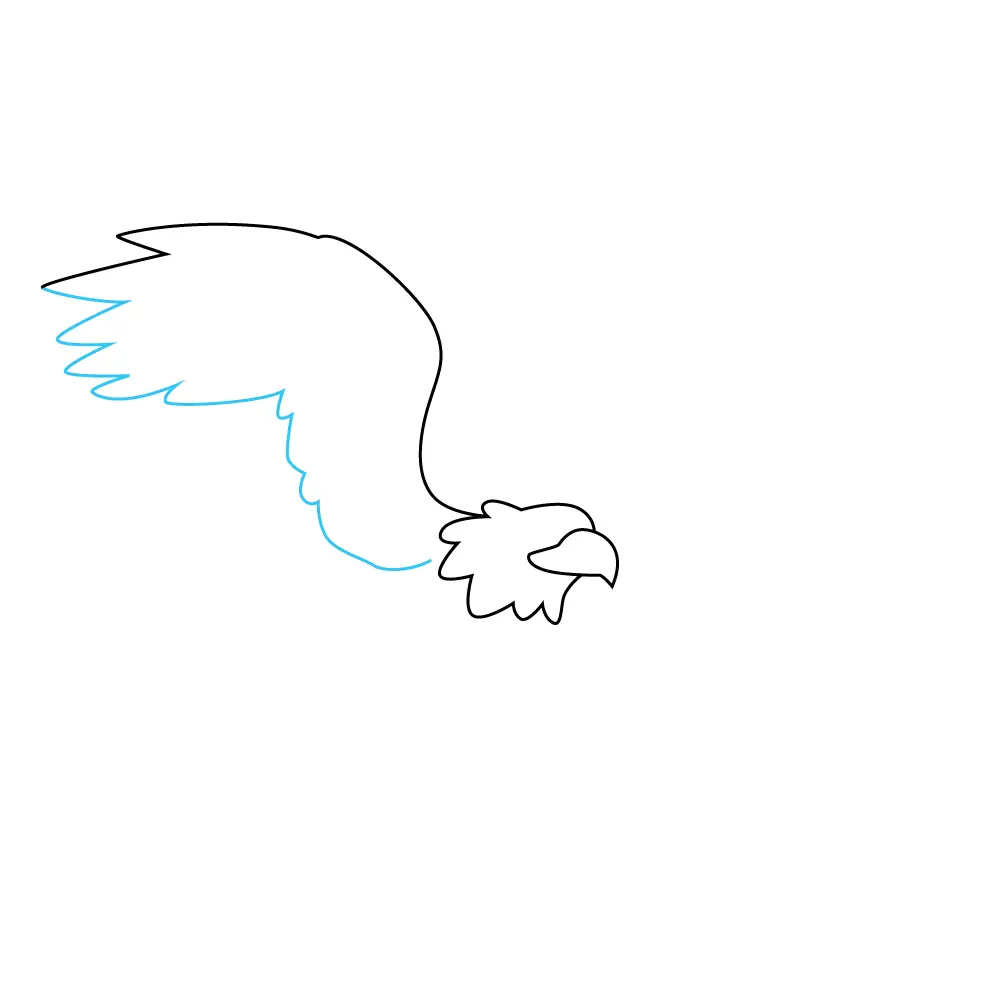 How to Draw An Eagle Flying Step by Step Step  4