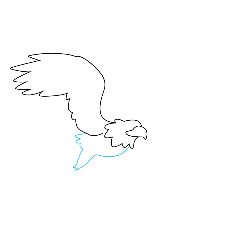 How to Draw An Eagle Flying Step by Step Step  5