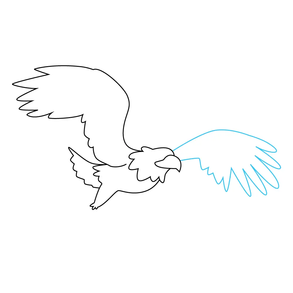 How to Draw An Eagle Flying Step by Step Step  7