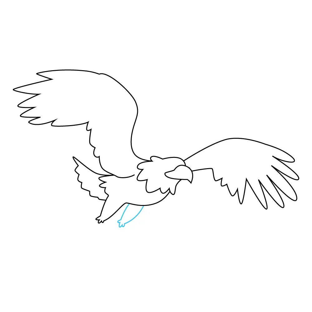 How to Draw An Eagle Flying Step by Step Step  8