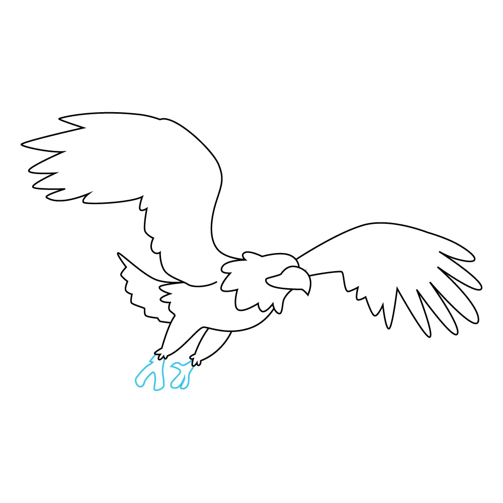 How to Draw An Eagle Flying Step by Step Step  9