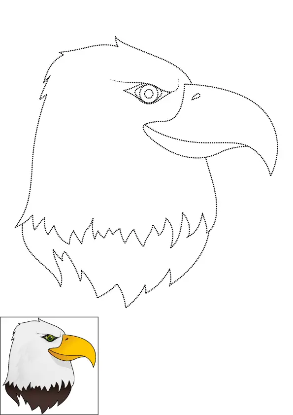 How to Draw An Eagle Head Step by Step Printable Dotted