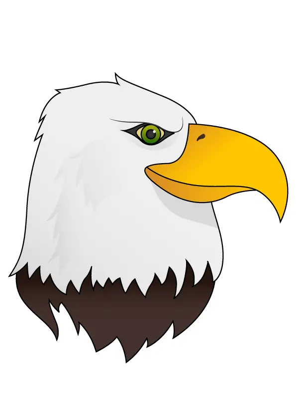 How to Draw An Eagle Head Step by Step Printable