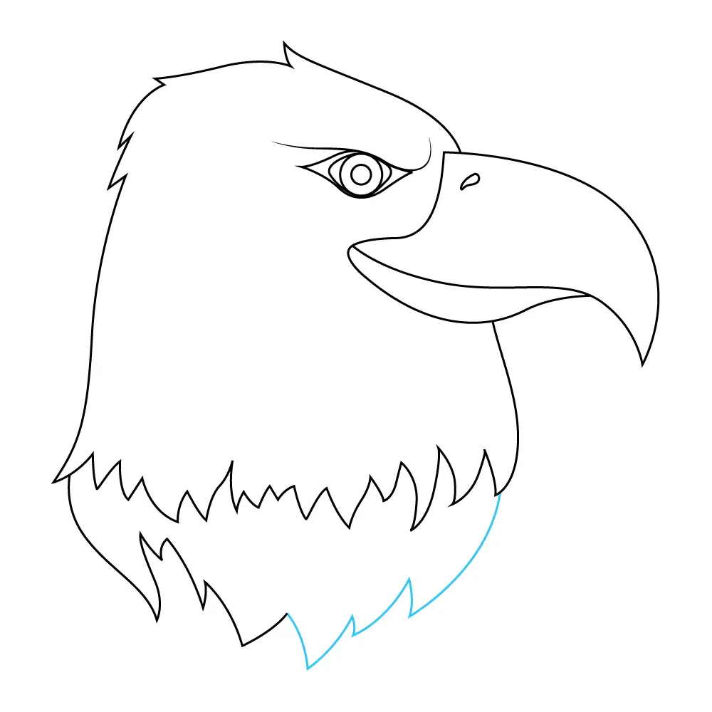 How to Draw An Eagle Head Step by Step Step  10