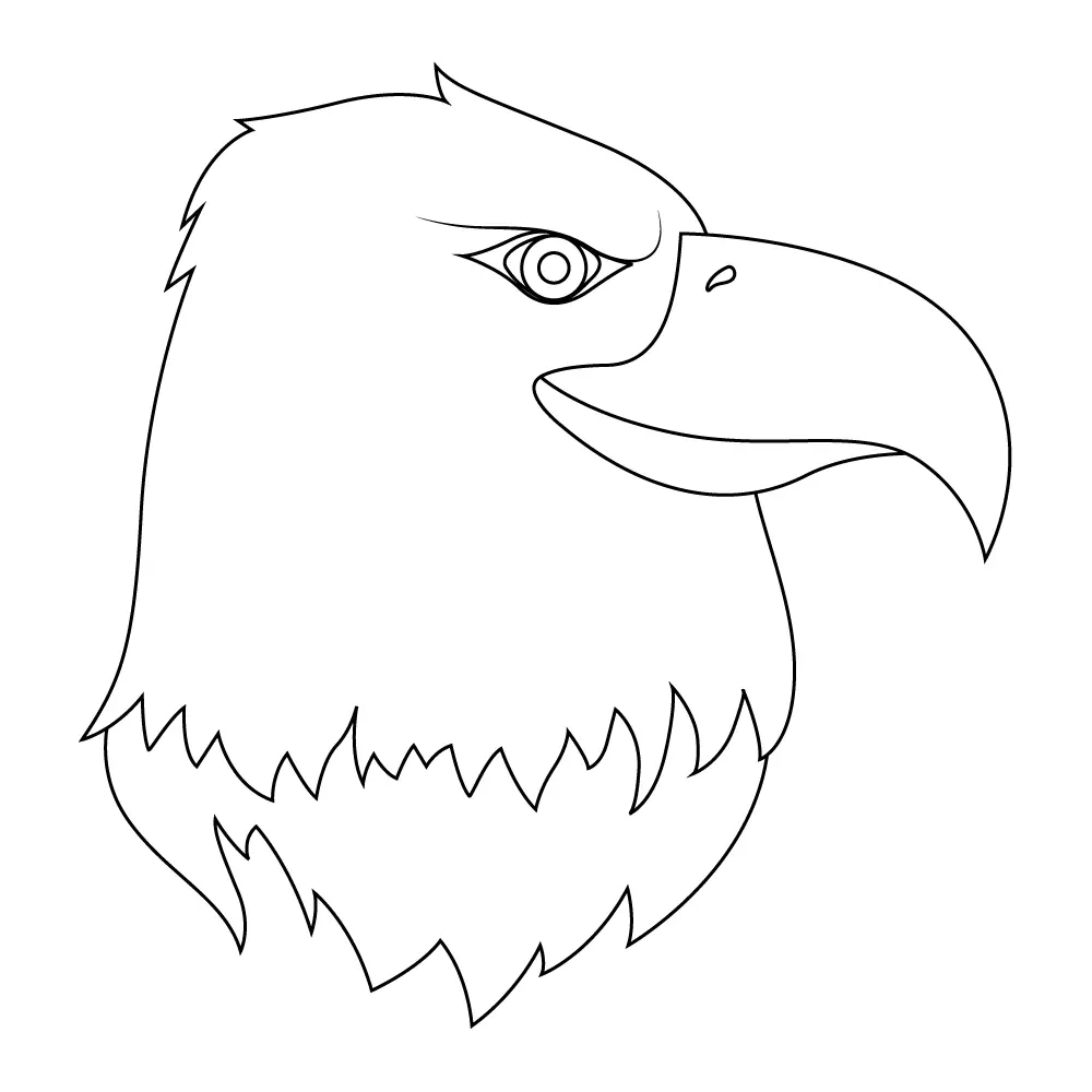 How to Draw An Eagle Head Step by Step Step  11