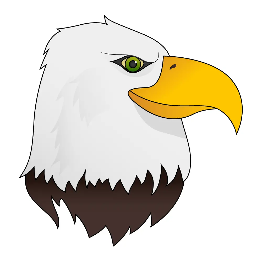 How to Draw An Eagle Head Step by Step Step  12
