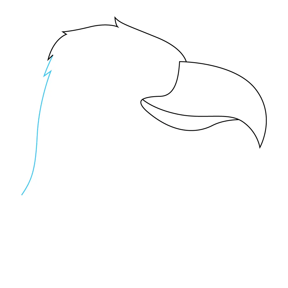 How to Draw An Eagle Head Step by Step Step  5
