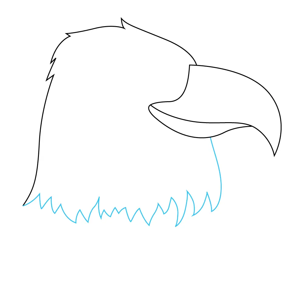 How to Draw An Eagle Head Step by Step Step  6