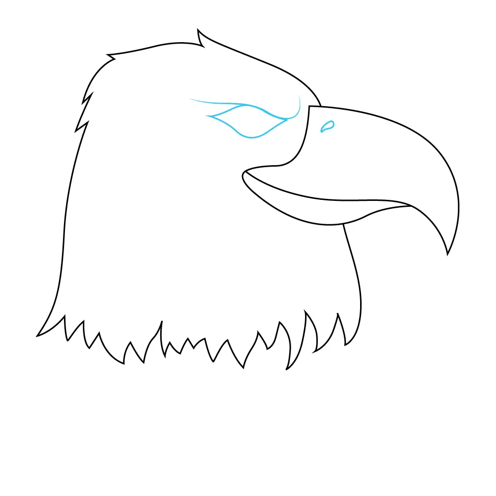 How to Draw An Eagle Head Step by Step