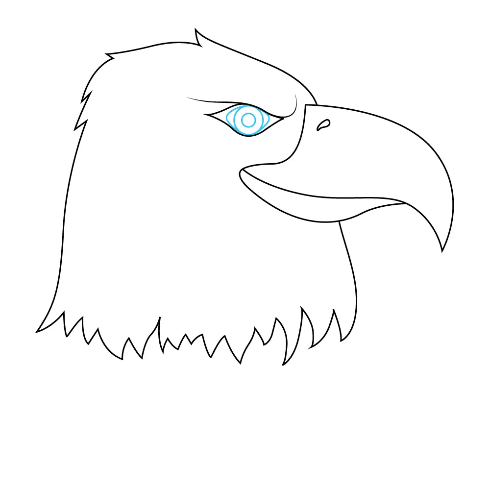 How to Draw An Eagle Head Step by Step Step  8