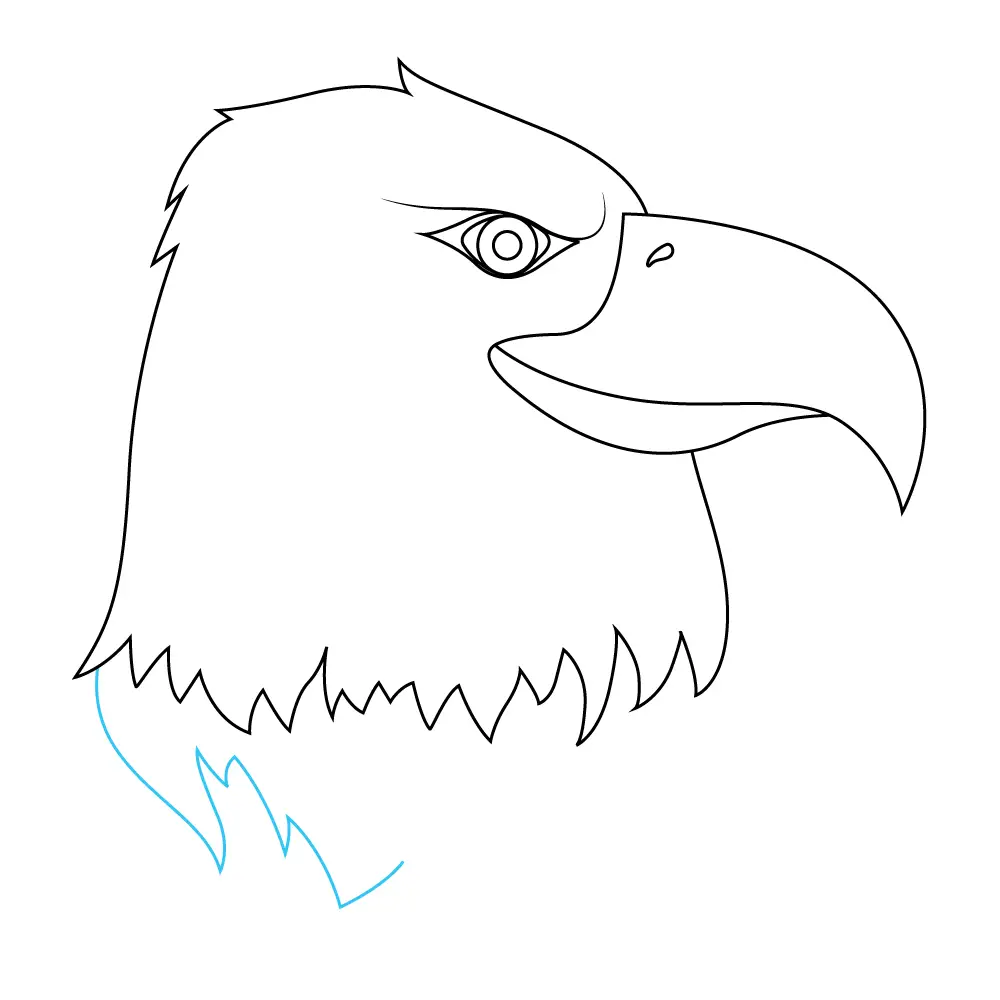 How to Draw An Eagle Head Step by Step Step  9