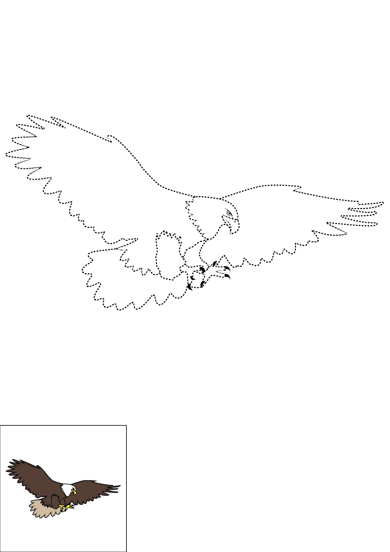 How to Draw An Eagle Step by Step Printable Dotted