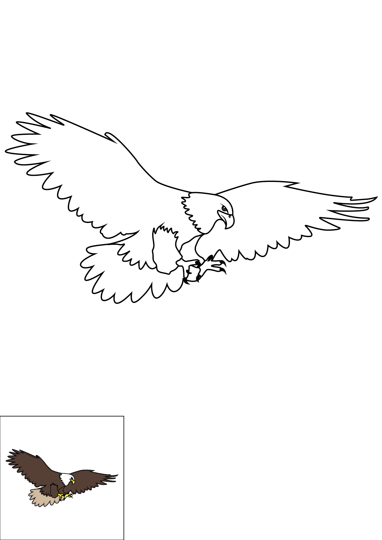 How to Draw An Eagle Step by Step Printable Color