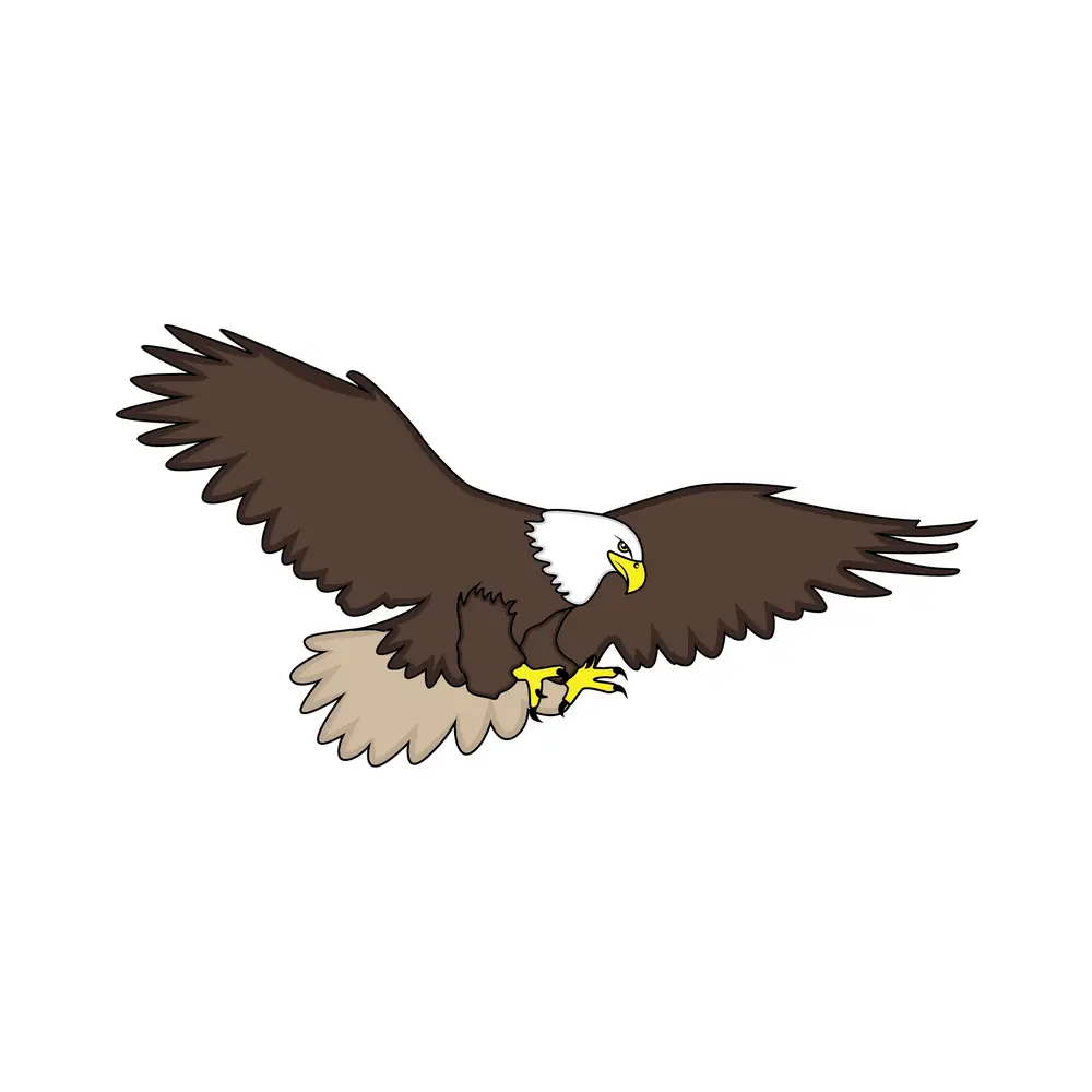 How to Draw An Eagle Step by Step Step  9