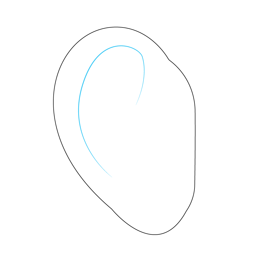 How to Draw An Ear Step by Step Step  3