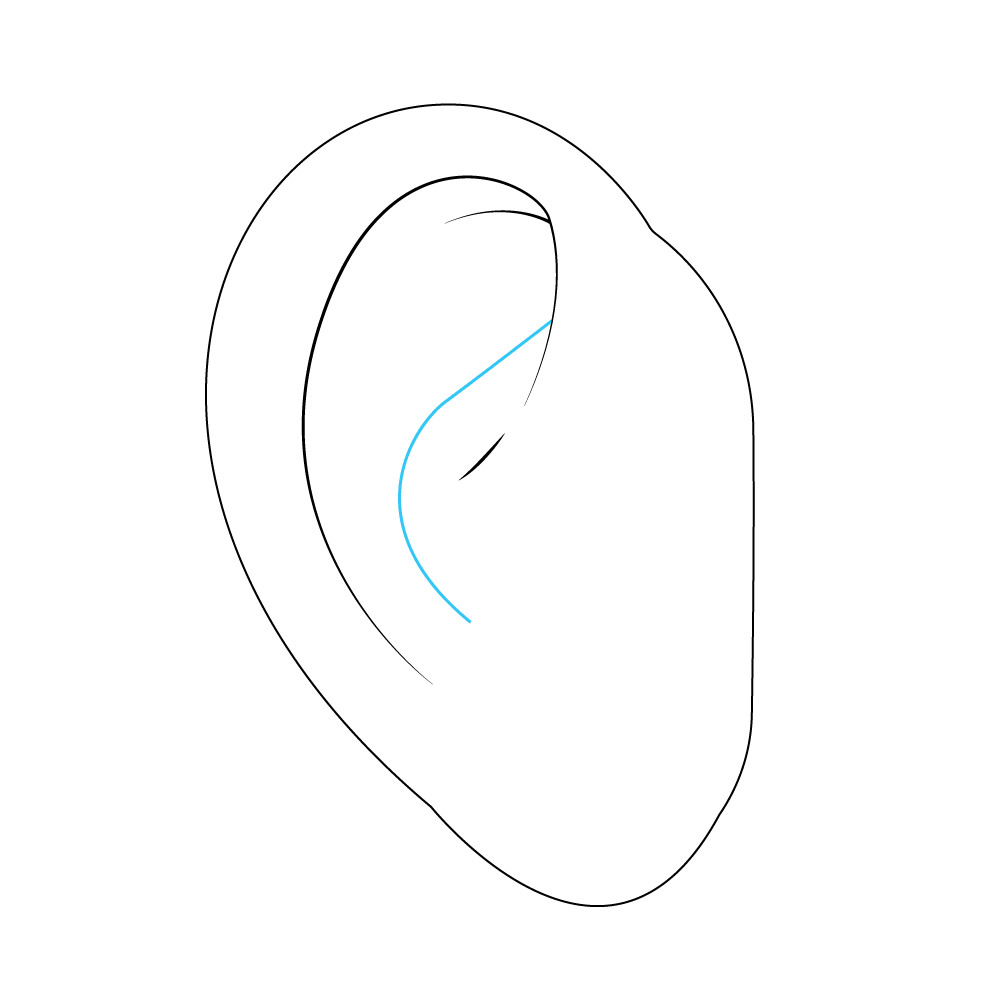 How to Draw An Ear Step by Step Step  6