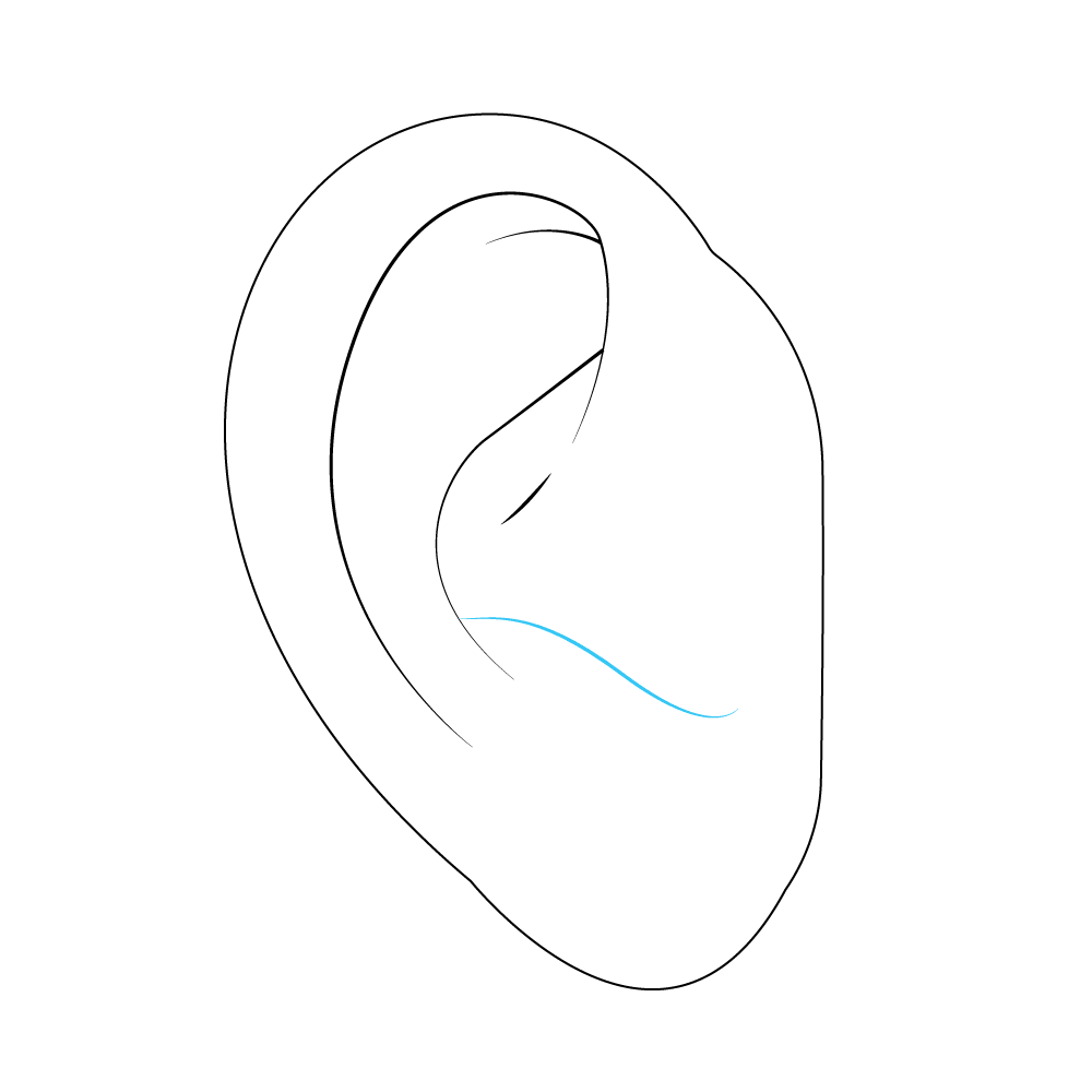 How to Draw An Ear Step by Step Step  7