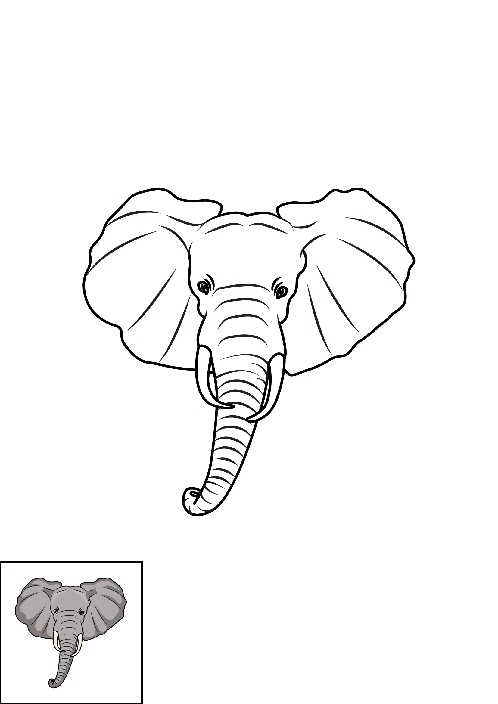 How to Draw An Elephant Head Step by Step Printable Color