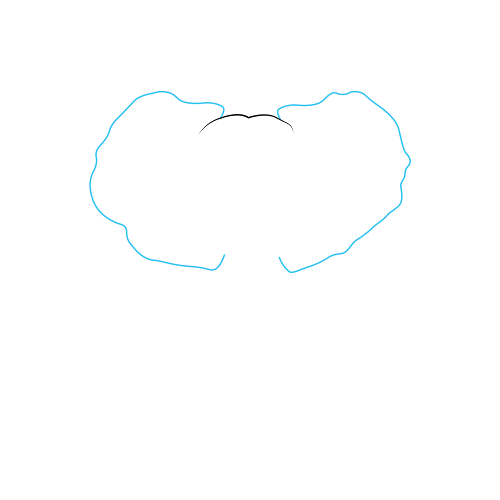 How to Draw An Elephant Head Step by Step Step  2