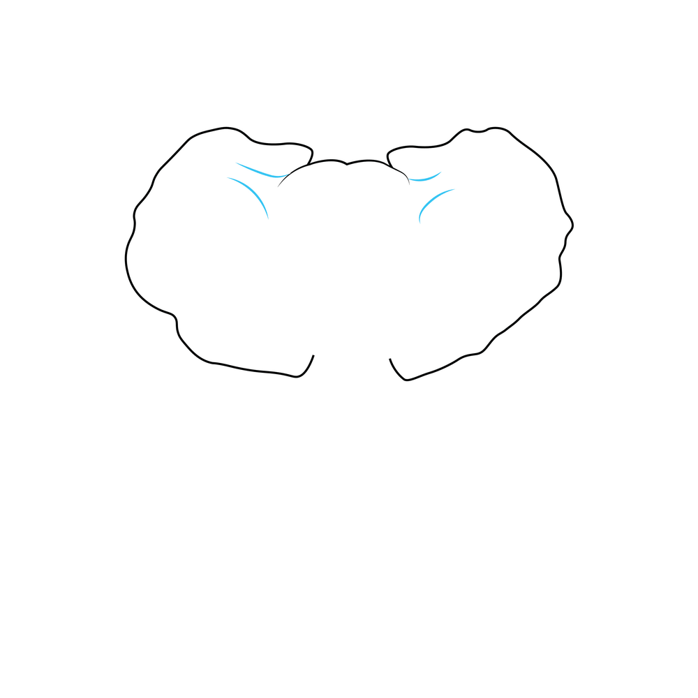How to Draw An Elephant Head Step by Step Step  3