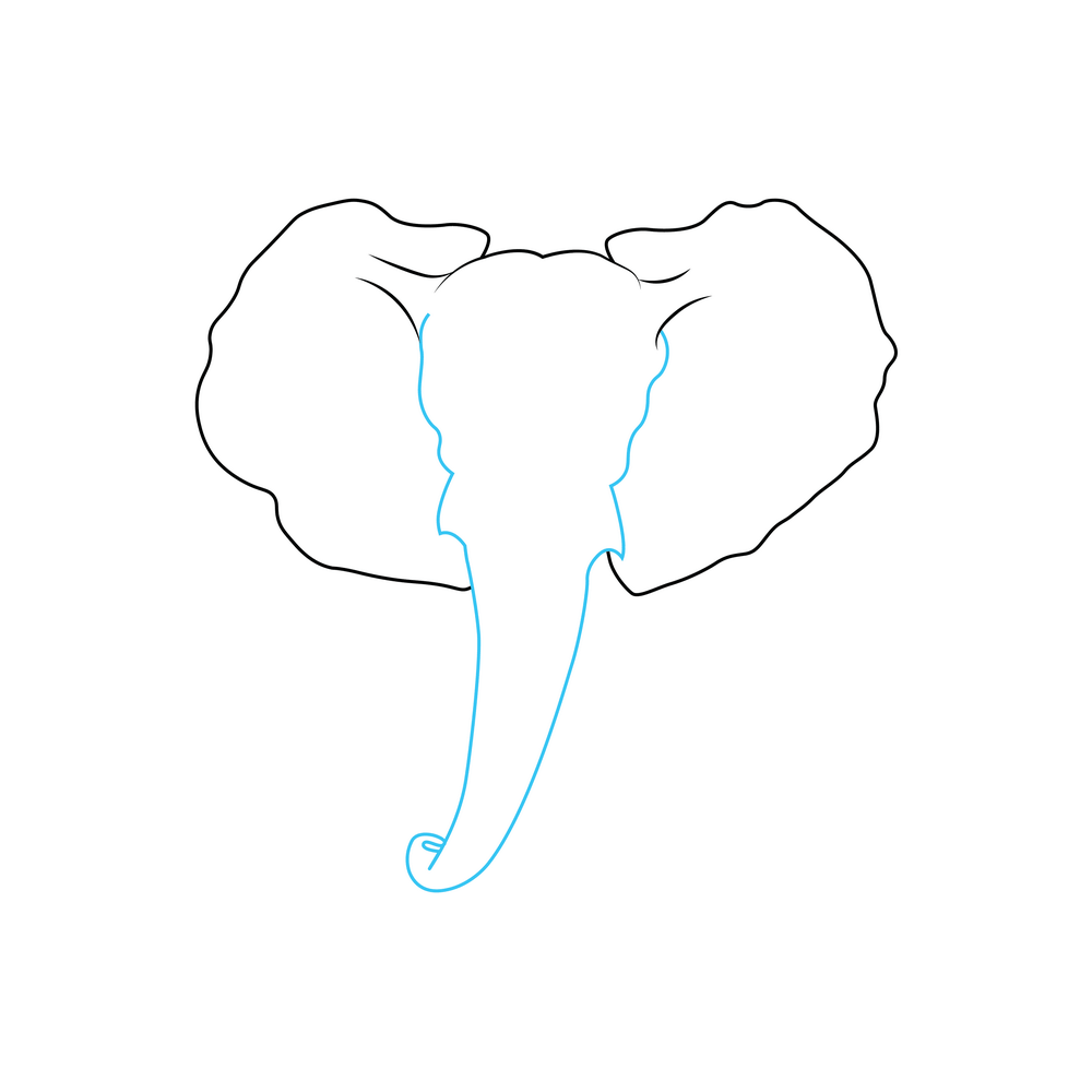 How to Draw An Elephant Head Step by Step Step  4