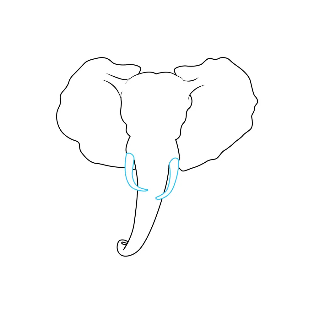 How to Draw An Elephant Head Step by Step Step  5