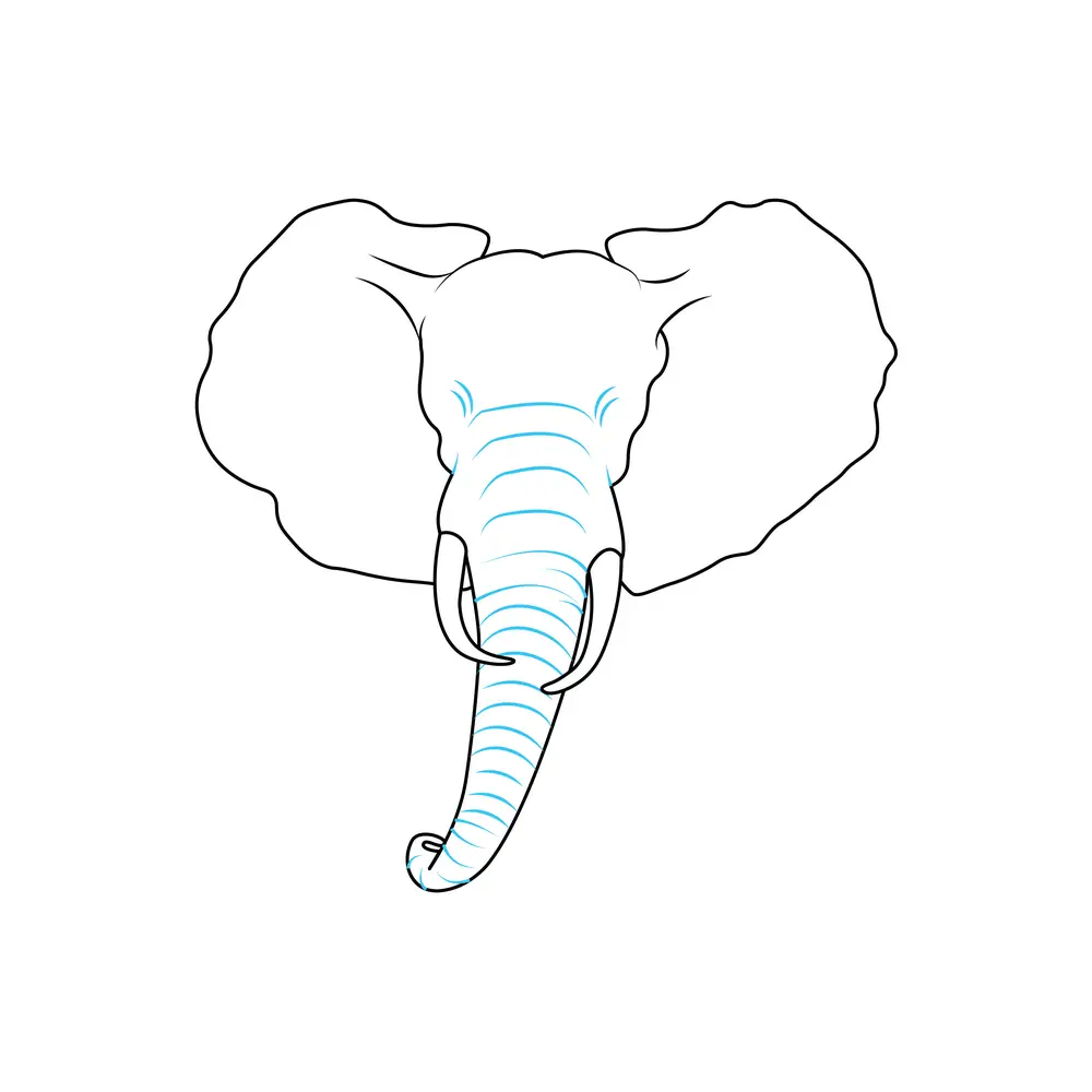 How to Draw An Elephant Head Step by Step Step  6