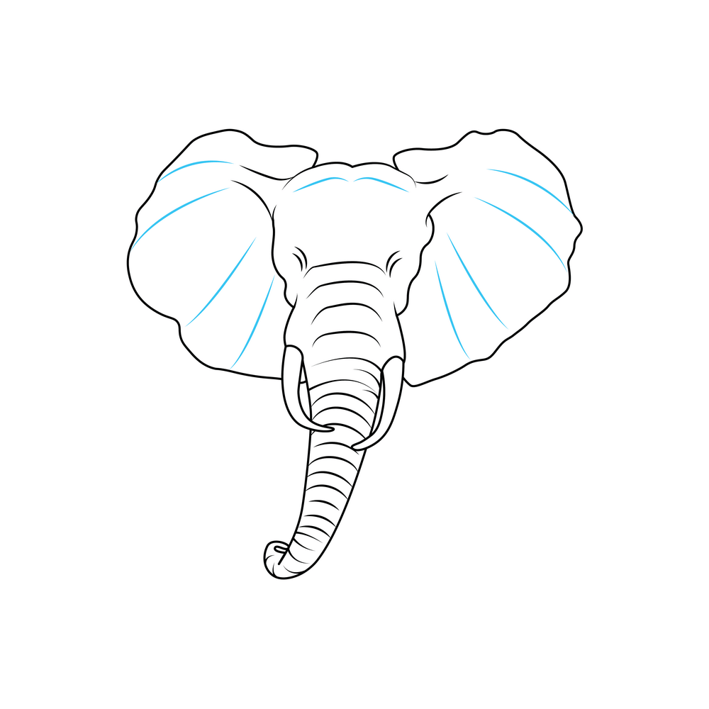 How to Draw An Elephant Head Step by Step Step  7