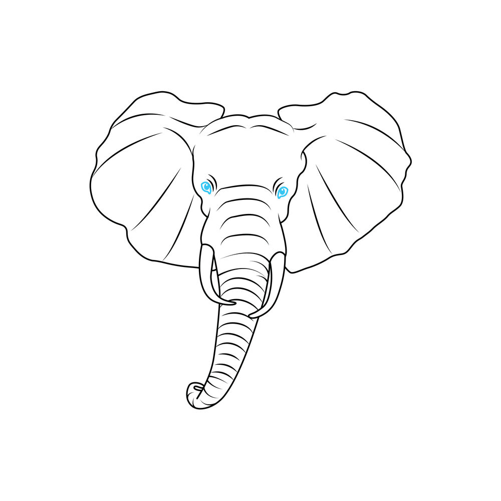 How to Draw An Elephant Head Step by Step Step  8