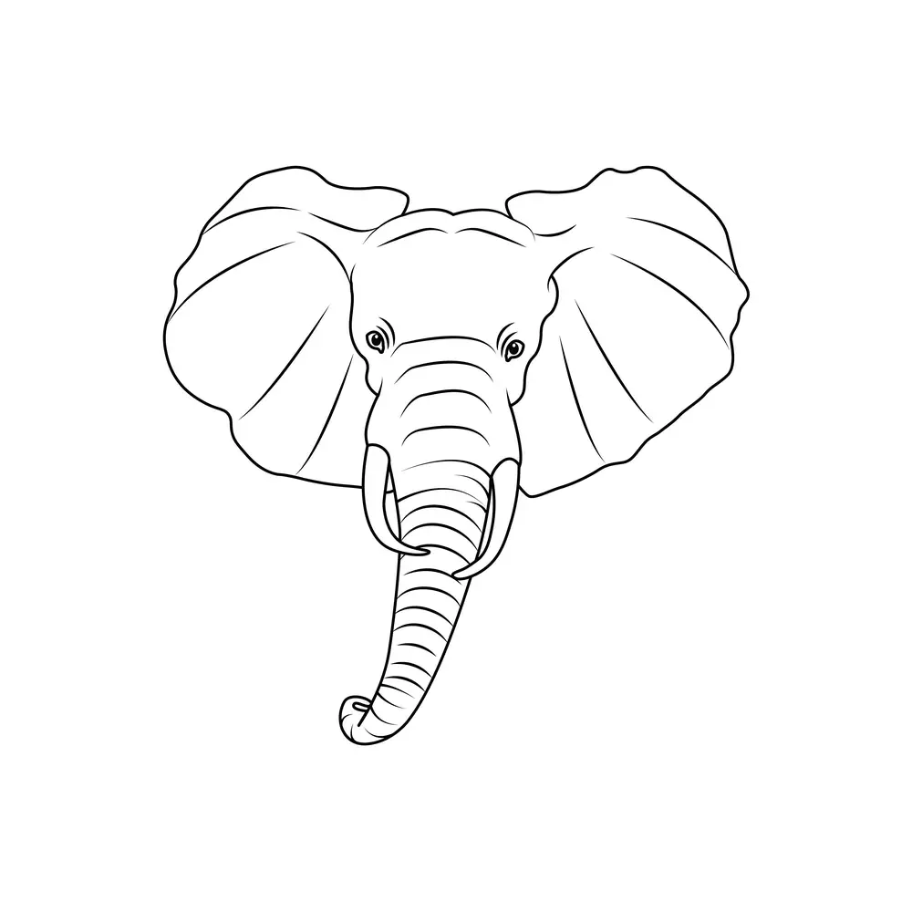 How to Draw An Elephant Head Step by Step Step  9