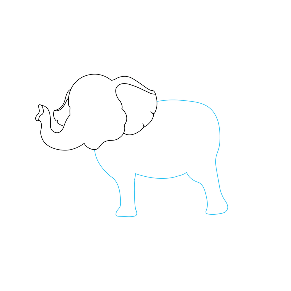 How to Draw An Elephant Step by Step Step  4