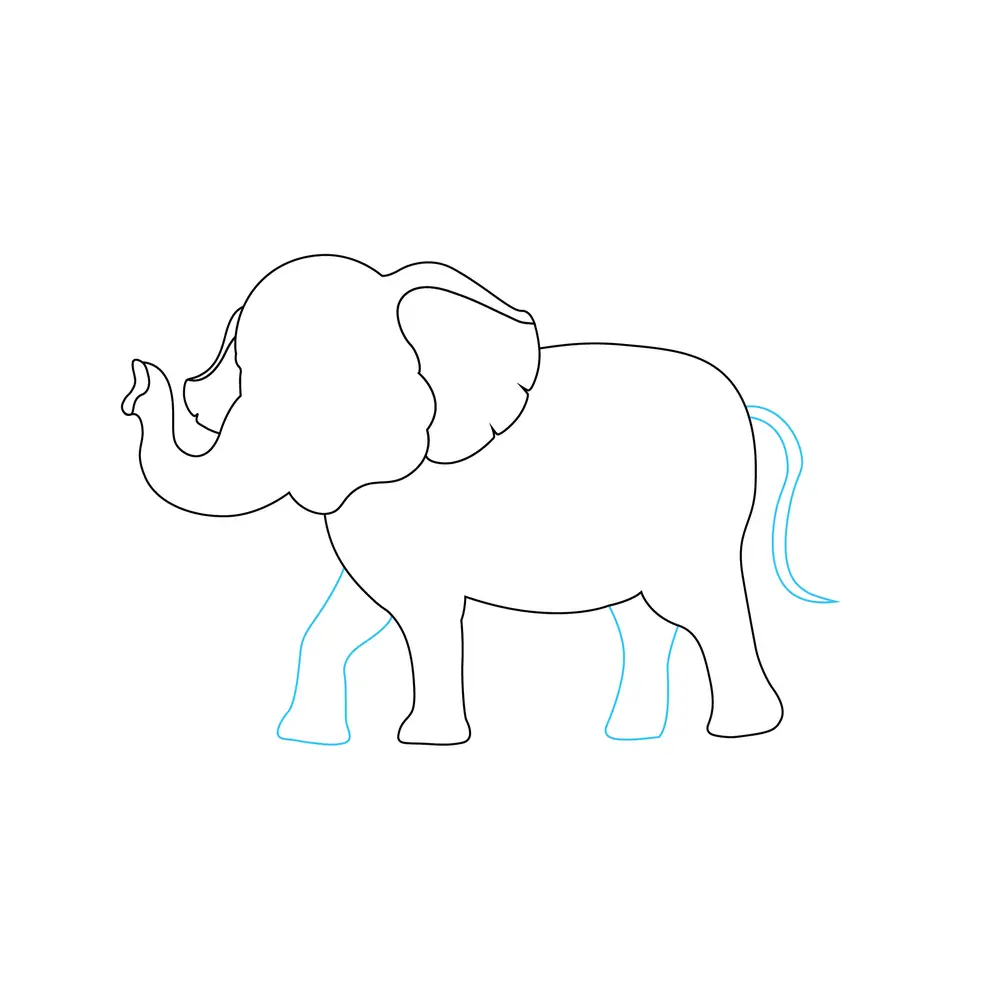 How to Draw An Elephant Step by Step Step  5