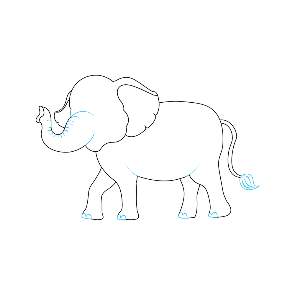 How to Draw An Elephant Step by Step Step  6
