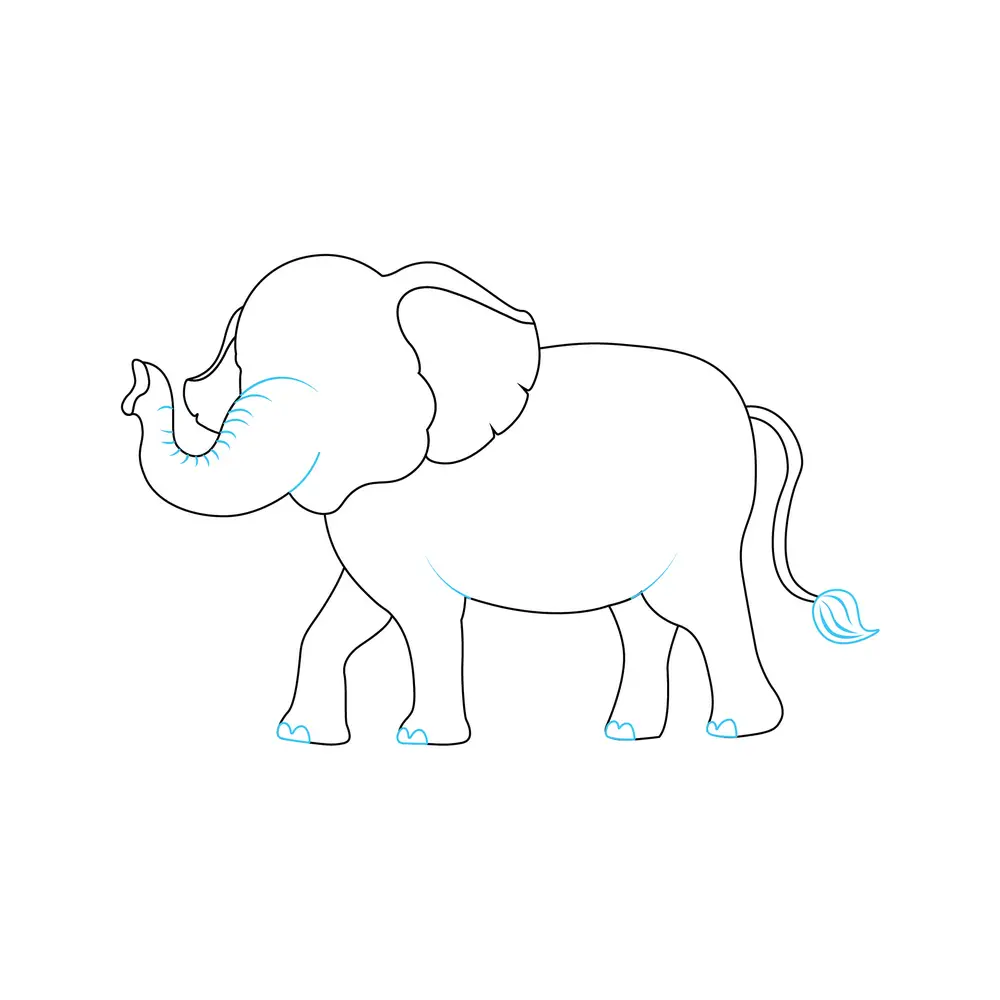 How to Draw An Elephant Step by Step Step  6