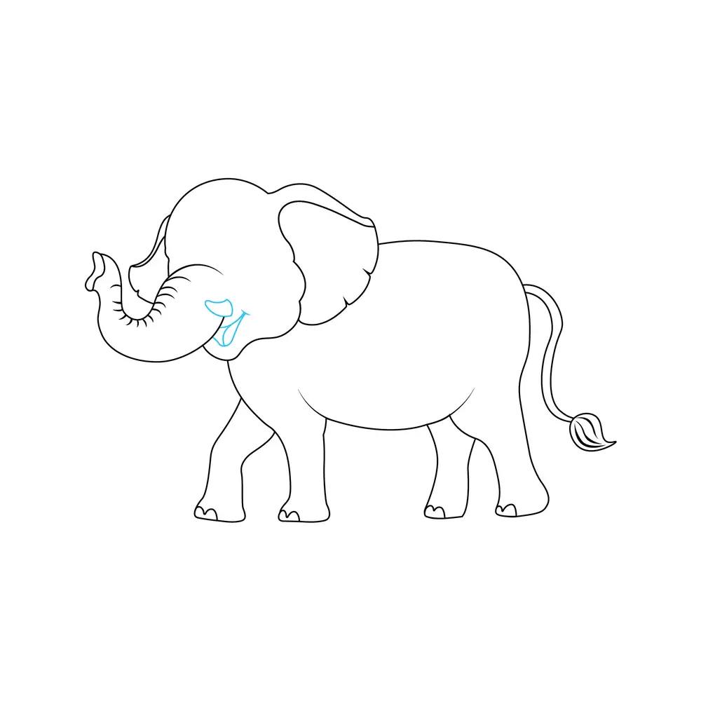 How to Draw An Elephant Step by Step Step  7