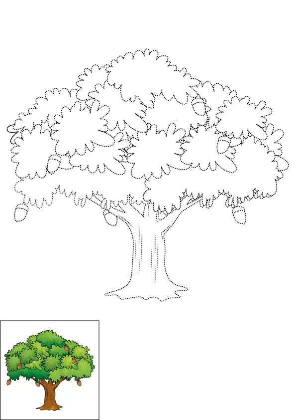 How to Draw An Oak Tree Step by Step Printable Dotted