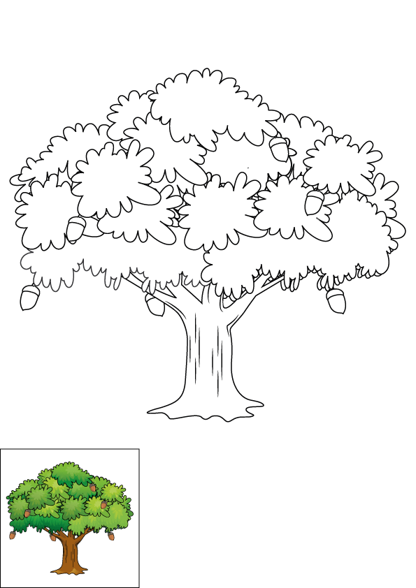 How to Draw An Oak Tree Step by Step Printable Color