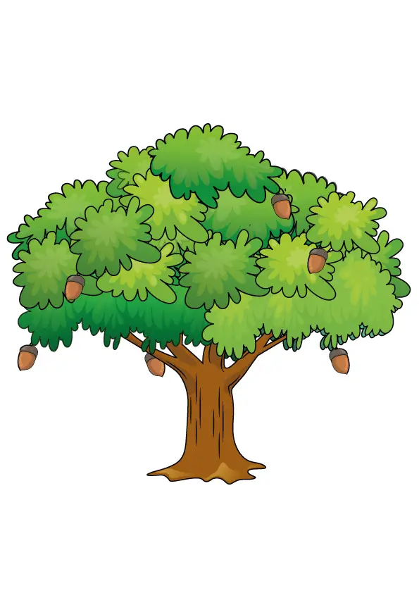 How to Draw An Oak Tree Step by Step Printable