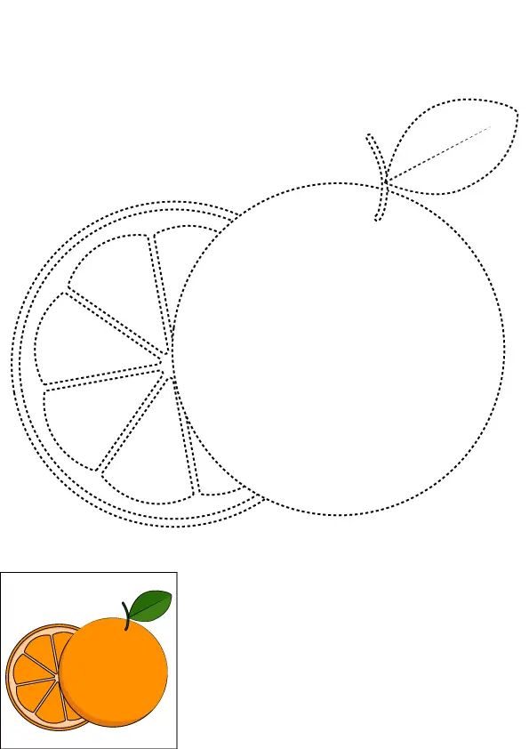 How to Draw An Orange Step by Step Printable Dotted