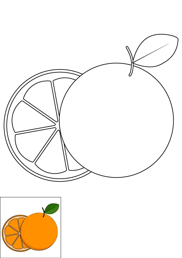How to Draw An Orange Step by Step Printable Color