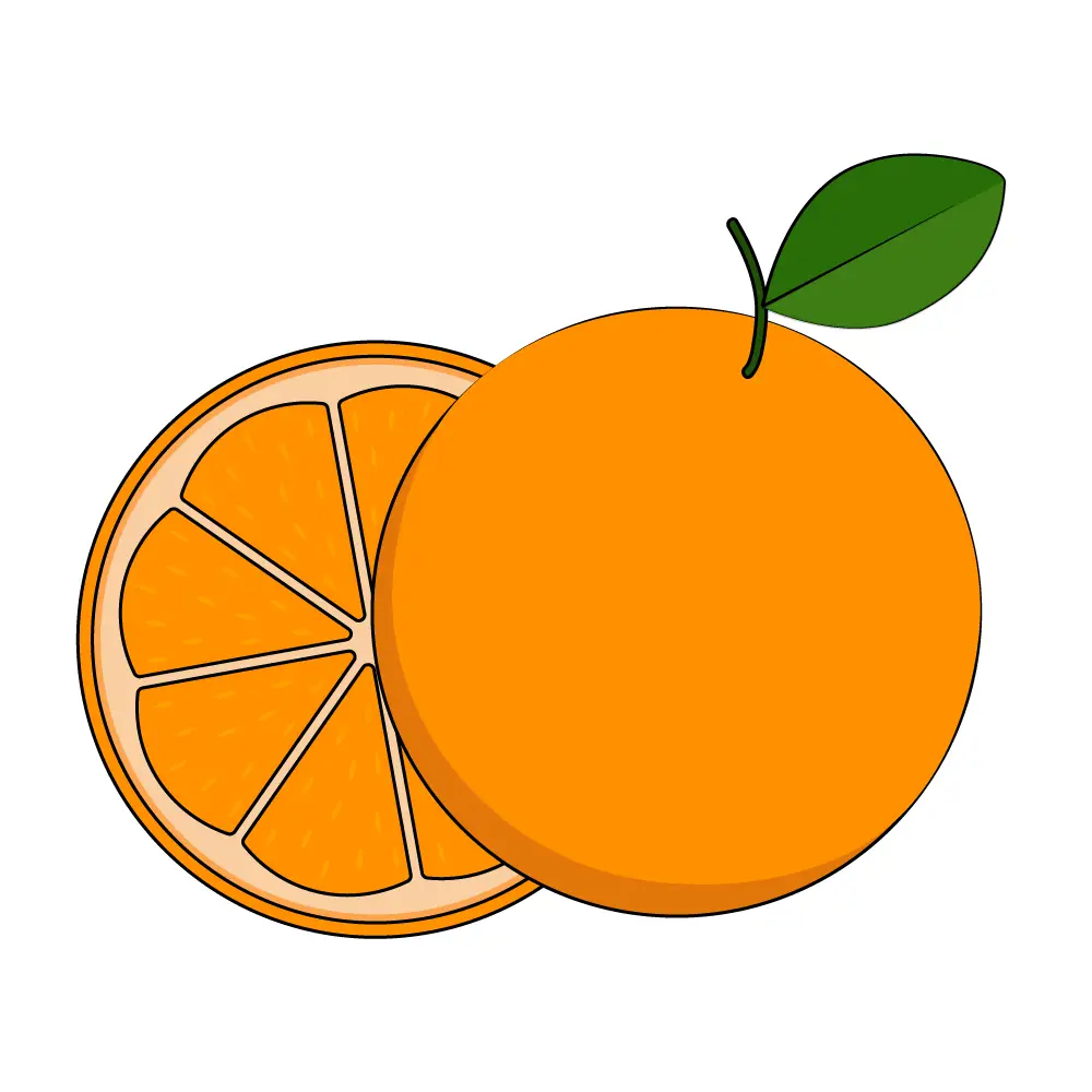 How to Draw An Orange Step by Step Step  12