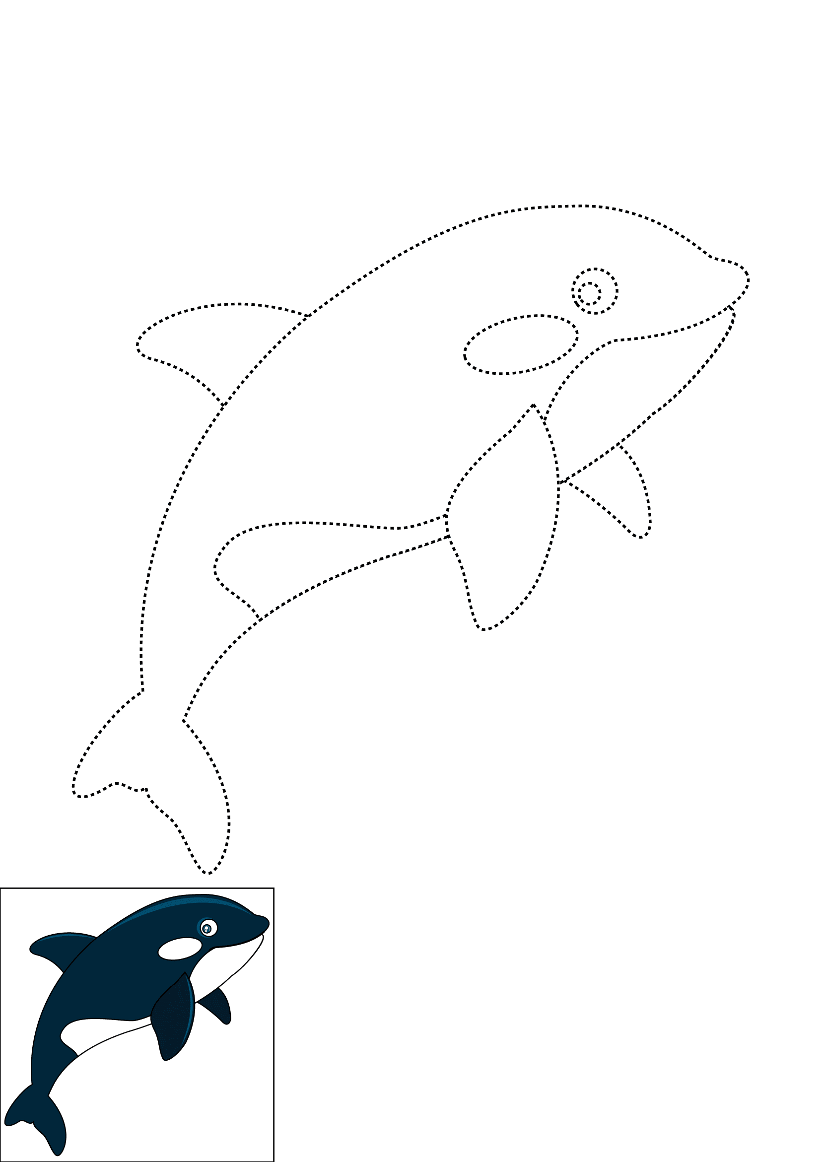 How to Draw An Orca Step by Step Printable Dotted
